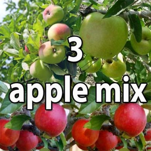 Three Apple Fruit Tree Mix | ScotPlants Direct